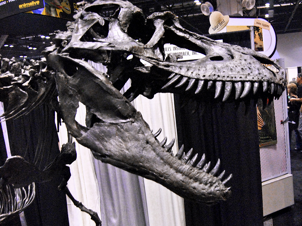 A dinosaur skeleton exhibit at the IAAPA Expo floor.